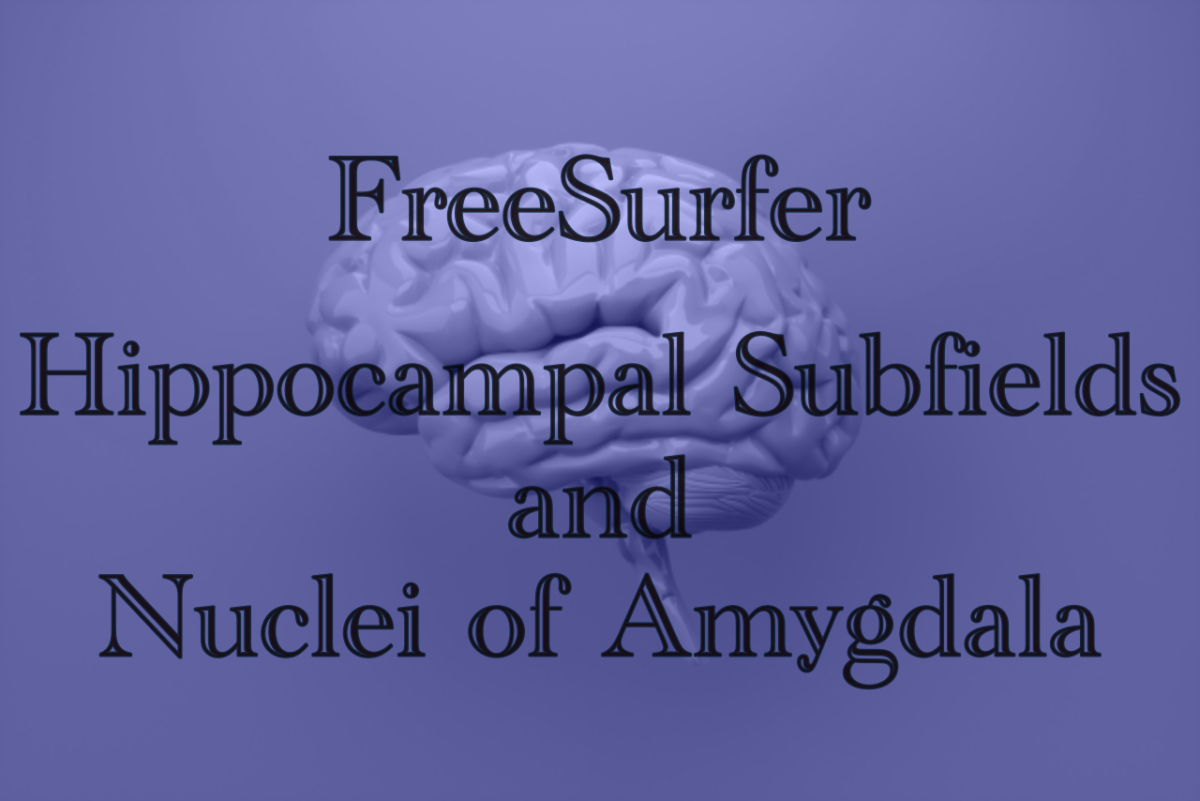 Freesurfer 海馬サブフィールド 扁桃体のセグメンテーション Halnote